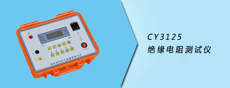 CY3125 絕緣電阻測(cè)試儀